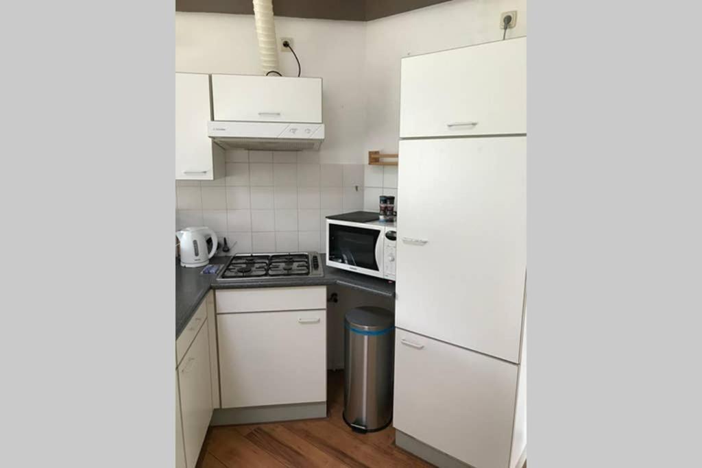 Rustig Gelegen Bungalow In Mooi Havelte Kültér fotó