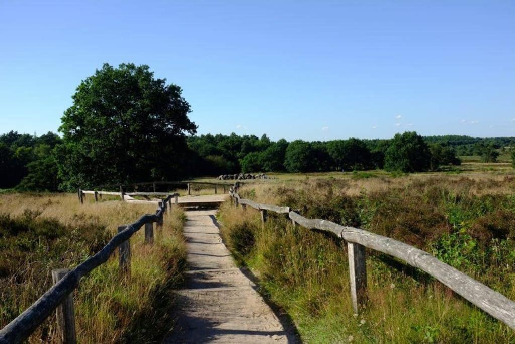 Rustig Gelegen Bungalow In Mooi Havelte Kültér fotó